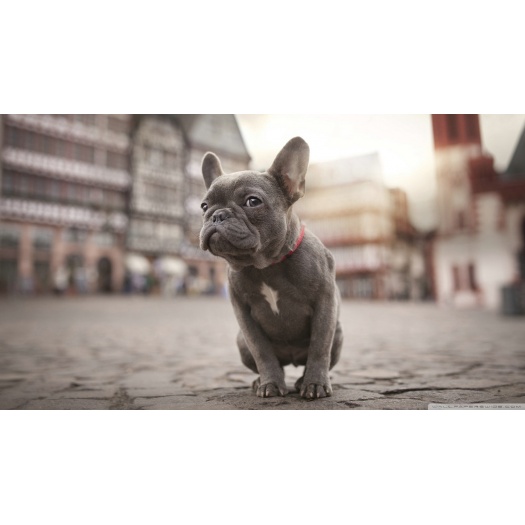 Preču sadaļa - 2.3