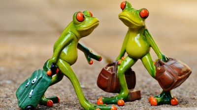 Ac sollicitudin nam morbi volutpat