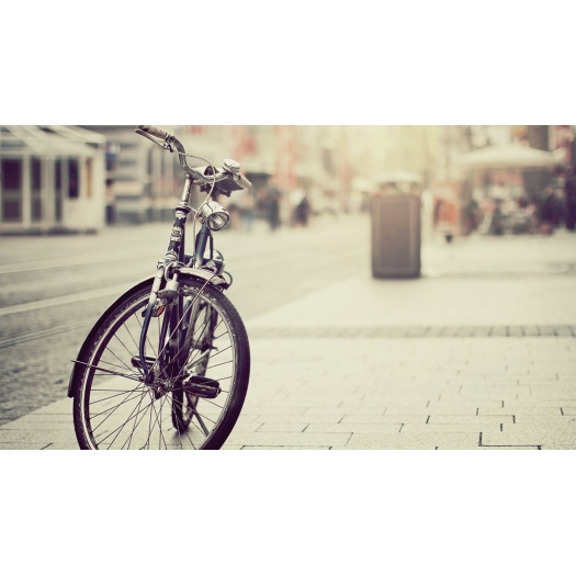 Curae mollis torquent dis accumsan