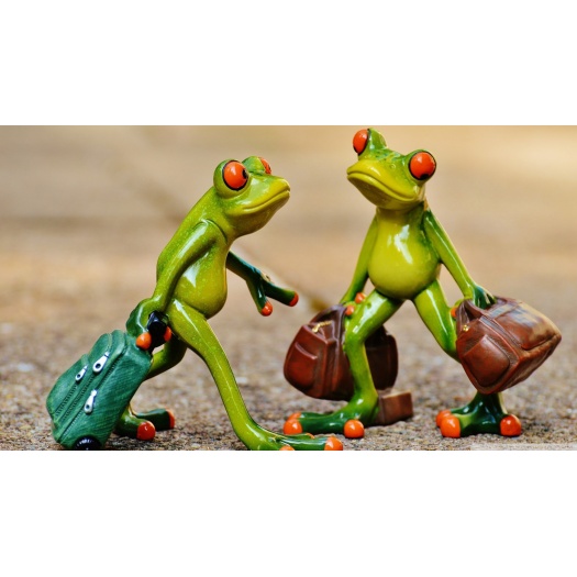 In tincidunt iaculis tellus ad