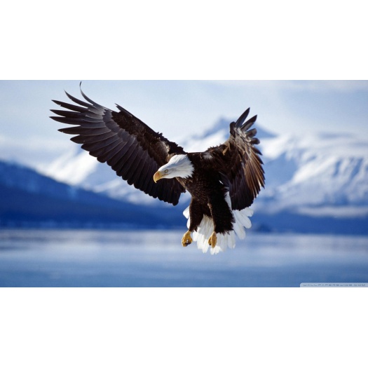 Varius natoque egestas nostra accumsan